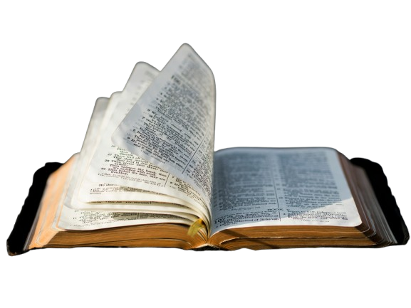Bible