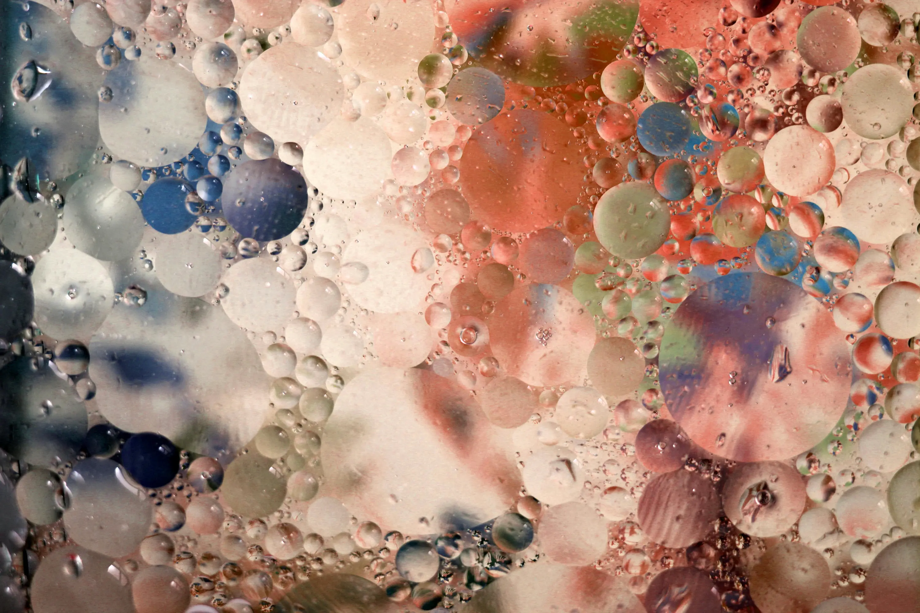 Books and reading materials